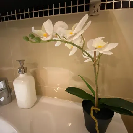 Location In The Heart Of The City, 2 Bedrooms, 2 Bathrooms * Budapest
